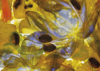 Painting flowers 2022-2026